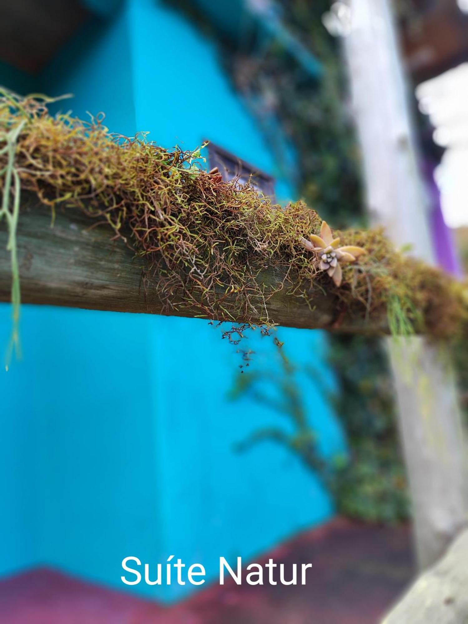 Vila Ecologica Cambara Bagian luar foto